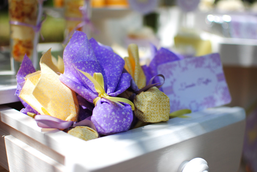 Spring Butterfly & Flower Party