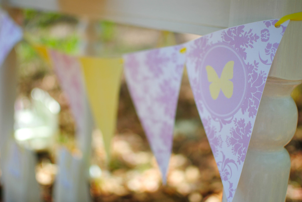 Spring Butterfly & Flower Party