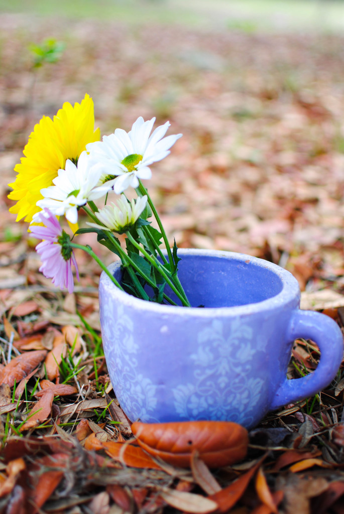 Spring Butterfly & Flower Party