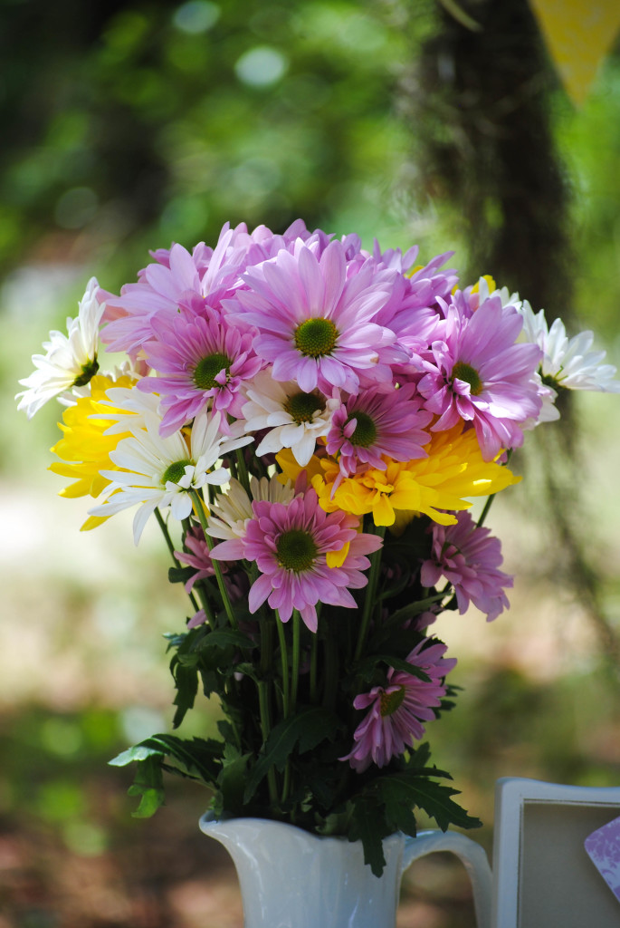Spring Butterfly & Flower Party