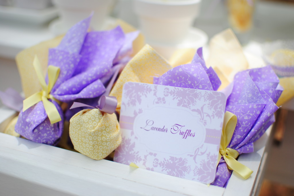 Spring Butterfly & Flower Party