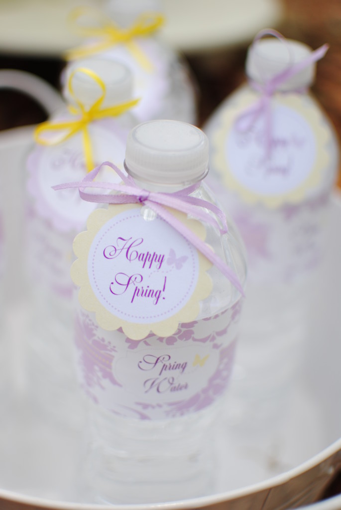 Spring Butterfly & Flower Party