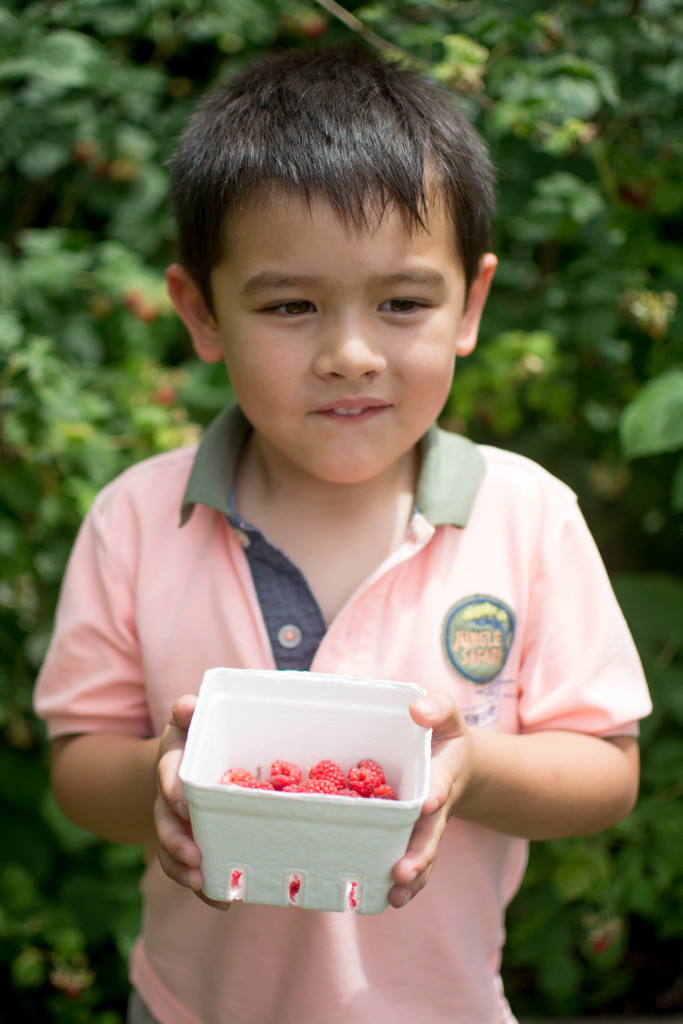 Raspberry Picking