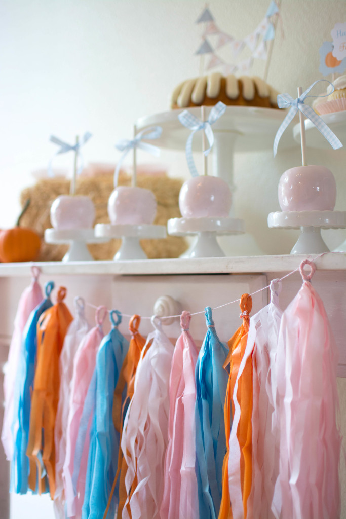 Pumpkin Patch Party22