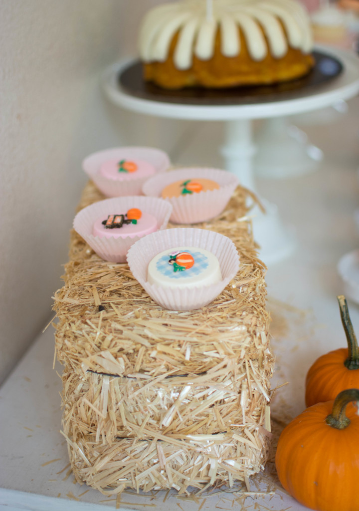 Pumpkin Patch Party24