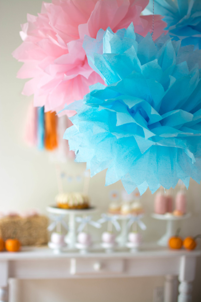 Pumpkin Patch Party4