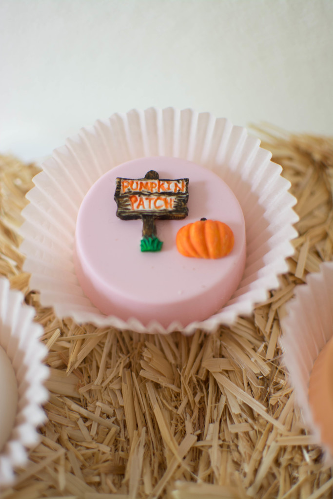Pumpkin Patch Party50