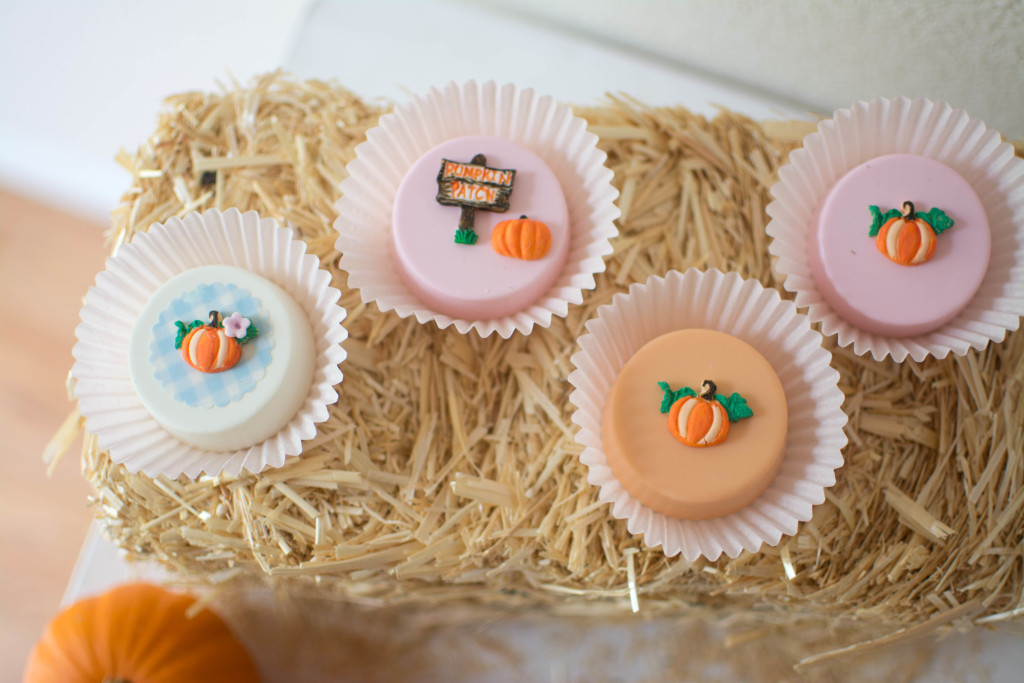 Pumpkin Patch Party57