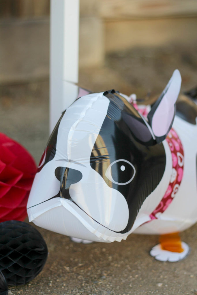 frenchieparty10