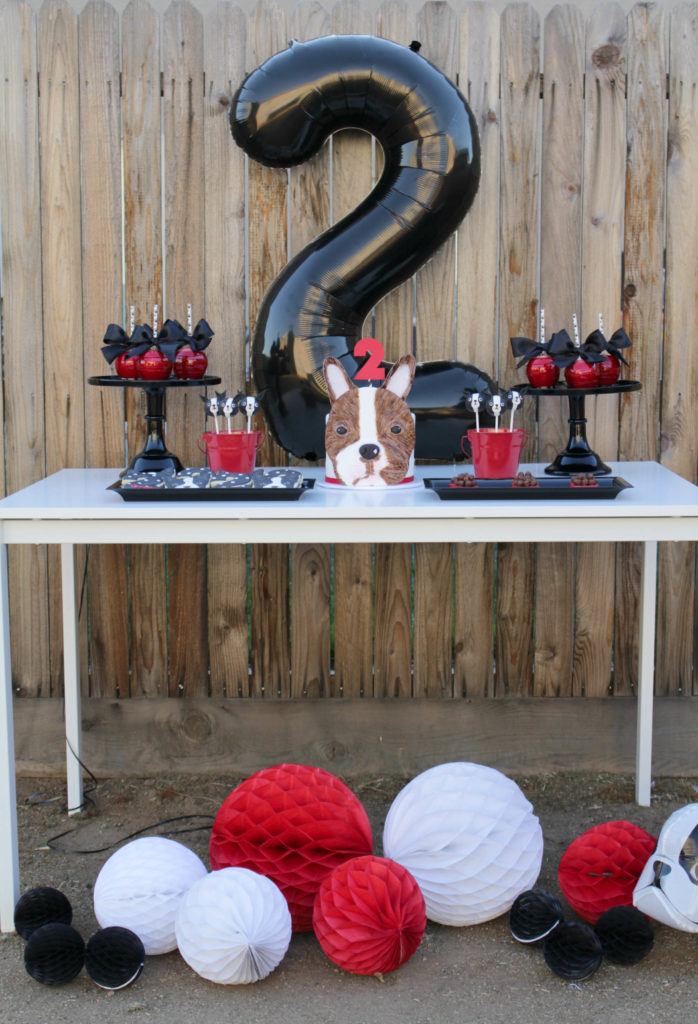 frenchieparty12