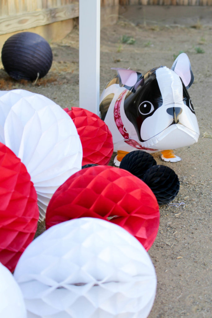 frenchieparty18