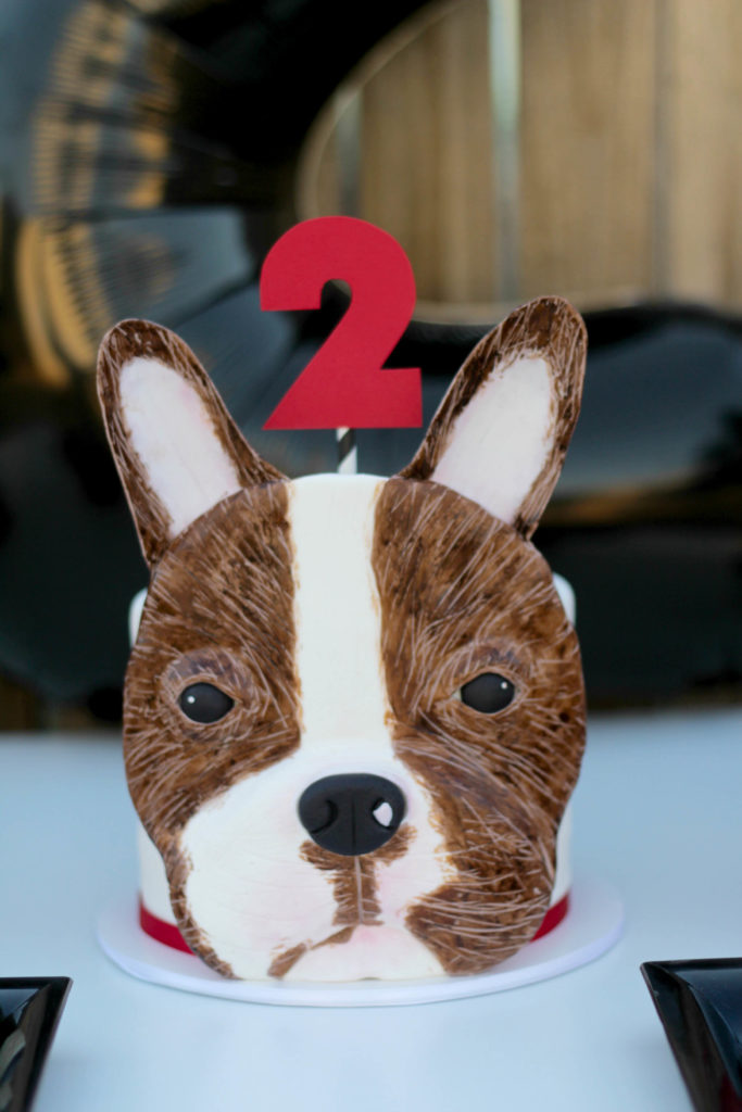 frenchieparty3