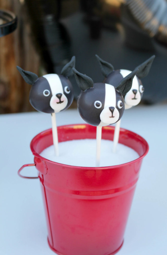 frenchieparty30