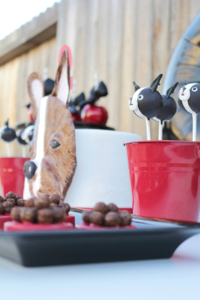 frenchieparty43